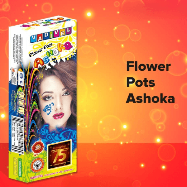 Flower Pot (Ashoka)